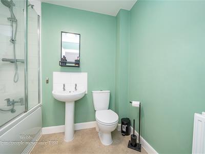 Picture 15